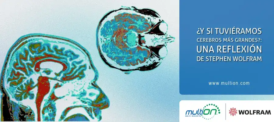 ¿Y si tuviéramos cerebros más grandes? Una Reflexión de Stephen Wolfram